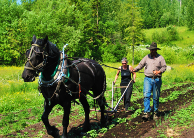 Funky-Acres-Farm-Bridge-Lake-BC-18